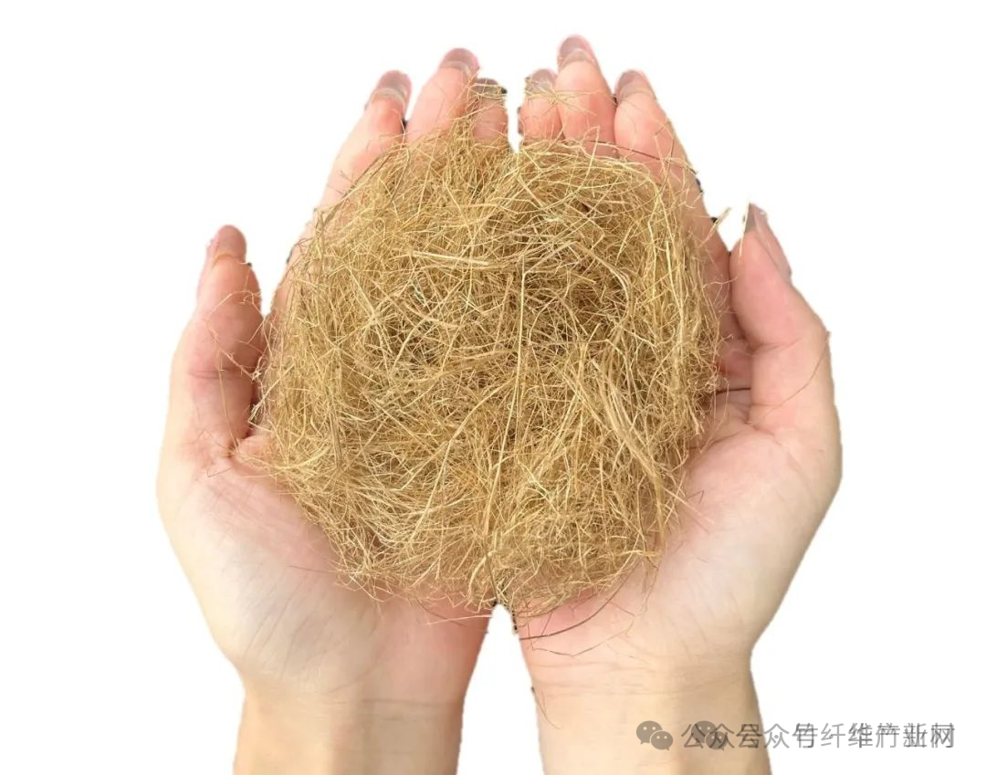1竹原纤维:医疗健康领域的天然创新解决方案