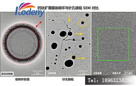 钙钛矿薄膜咖啡环形貌与针孔缺陷 SEM 对比示意图