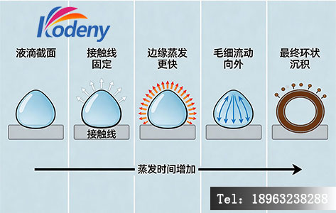 咖啡环效应形成机理示意图
