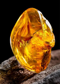 紫外臭氧清洗机的“隐形杀手”:这3类材料千万别洗!揭秘行业不敢说的真相-2