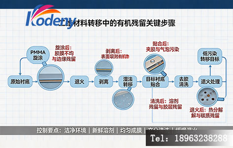 二维材料转移工艺流程与污染节点示意图,标注转移过程中容易产生有机残留的关键步骤