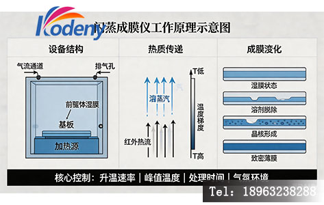 闪蒸成膜仪核心结构与工作原理示意图