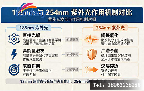 185nm 与 254nm 紫外光作用机制对比示意图
