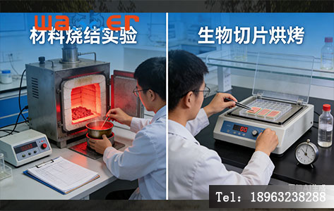 左图为“材料烧结实验”,右图为“生物切片烘烤”。