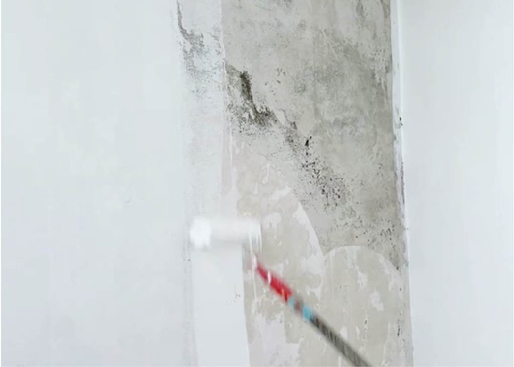 防潮防霉墙面涂装