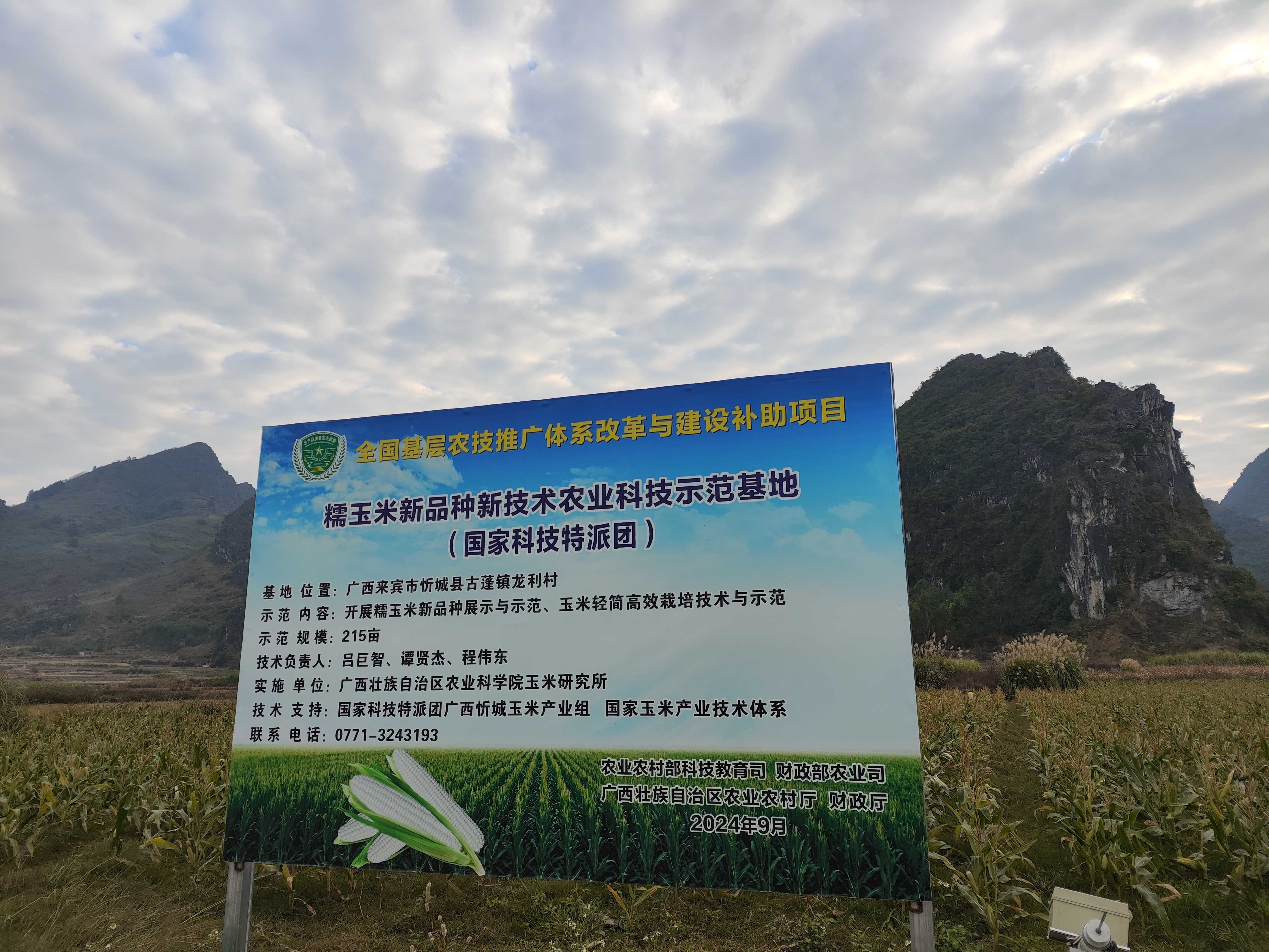 广西忻城-智慧农业-糯米新品种科技示范基地