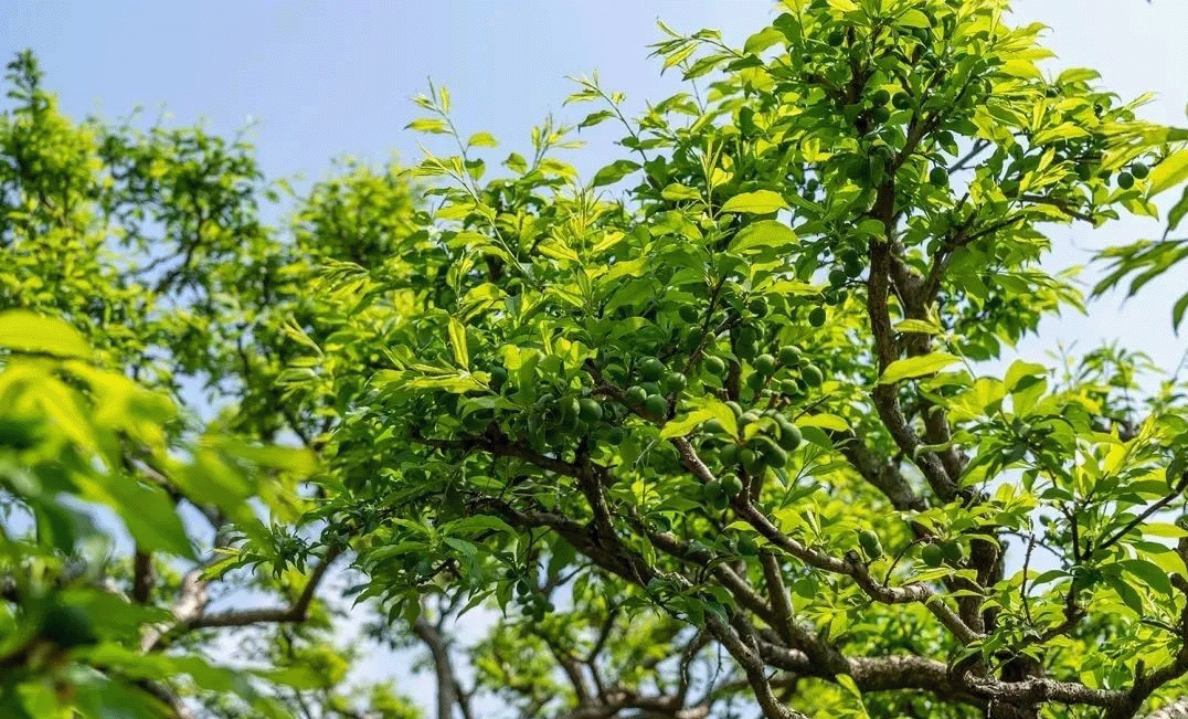 ABUIABAEGAAgx7XKvQYo2NuY-AMwtAg4iwU