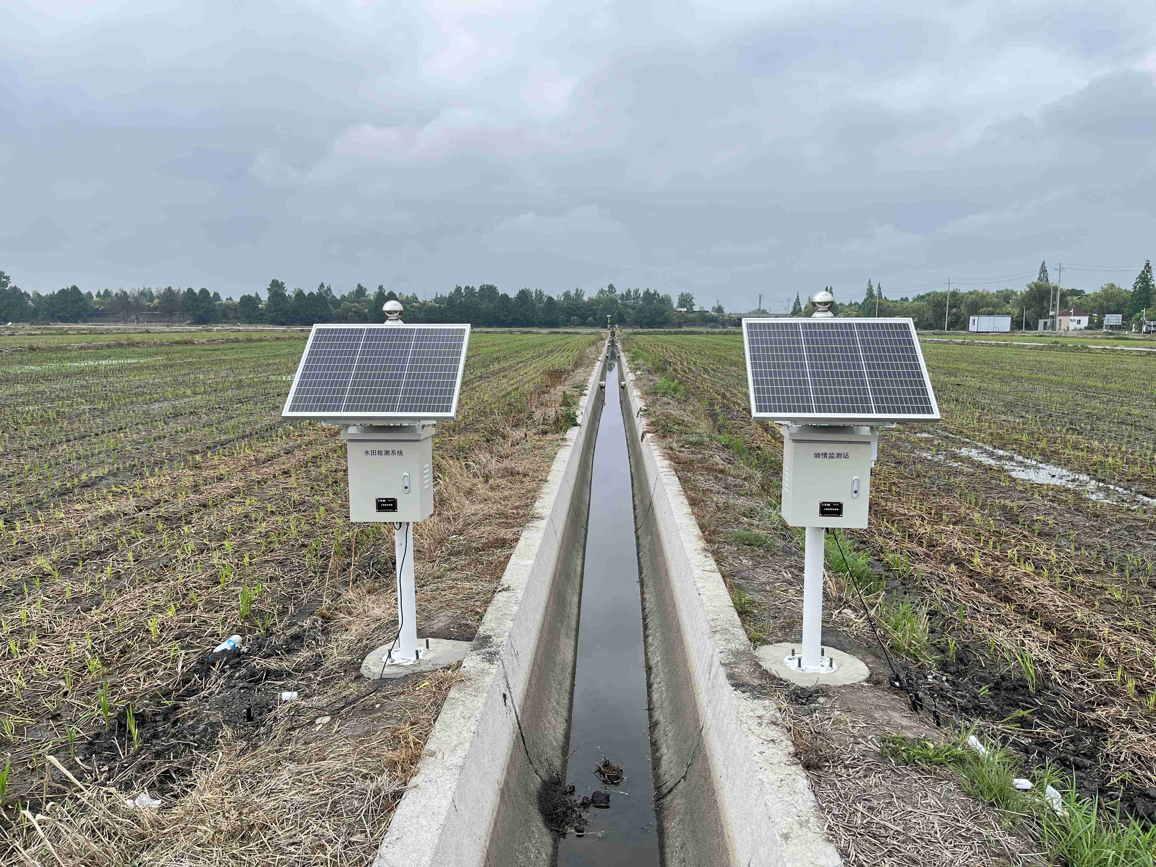 江苏泰州商品粮基地-田间监测点-土壤墒情监测站-水田监测系统