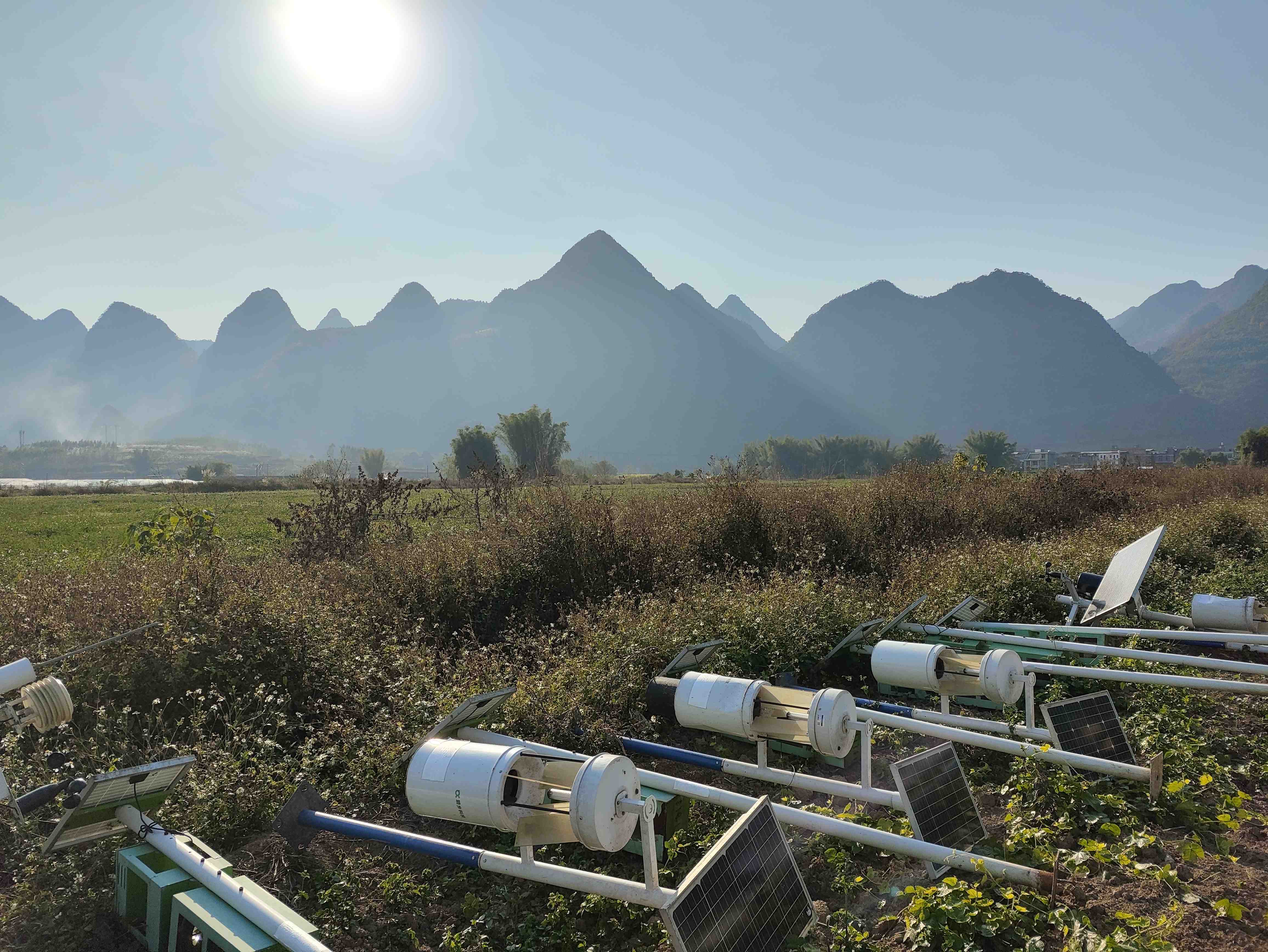 广西忻城-智慧农业-高标准农田-田间监测点-四情监测站-物联网杀虫灯