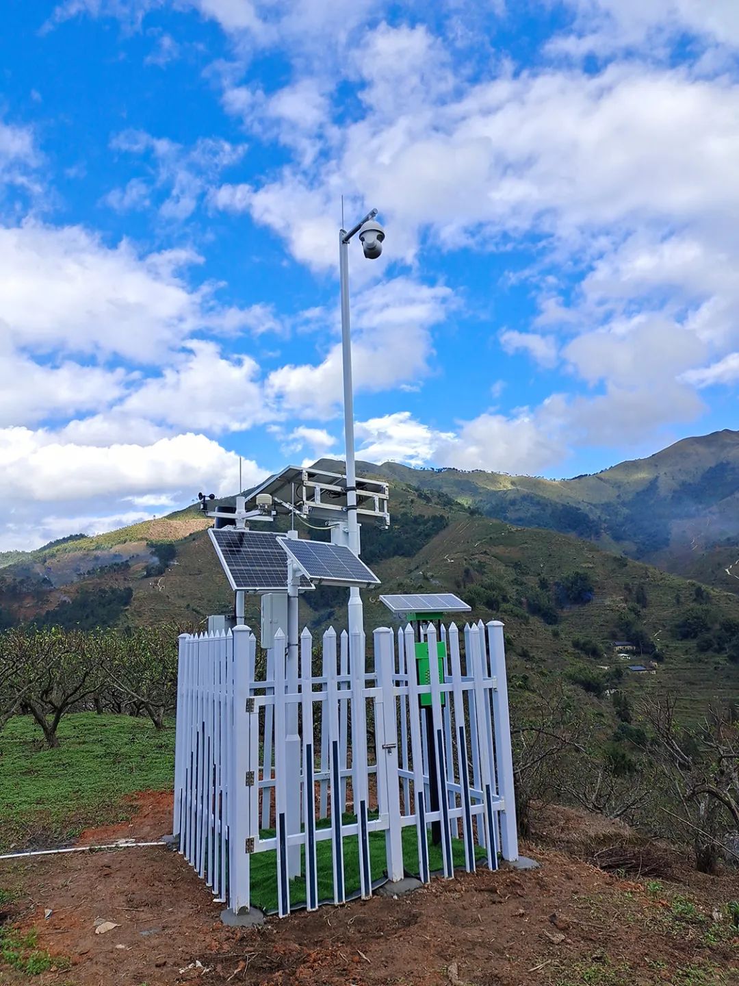 三华李-田间监测点-苗情监测站