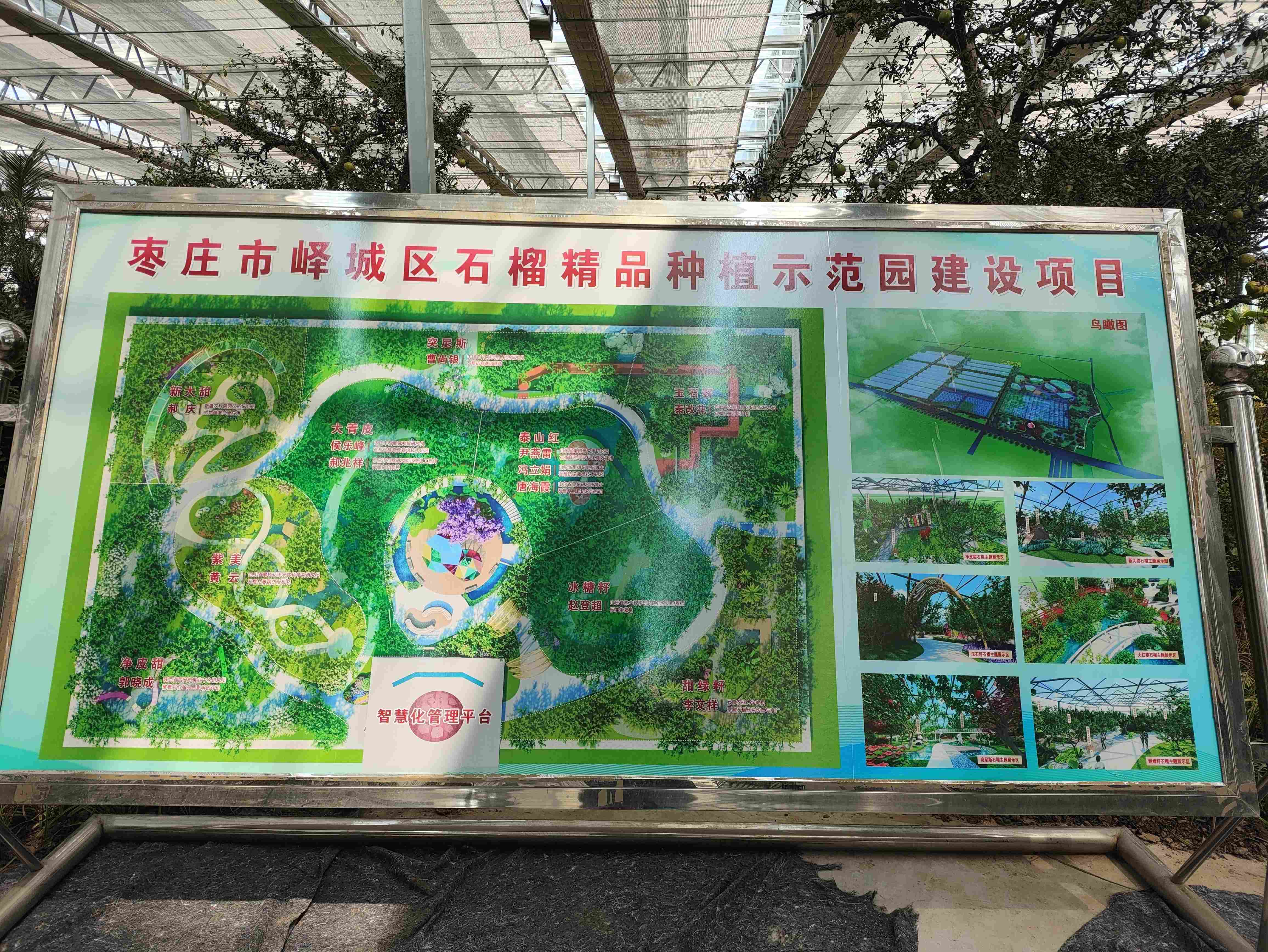 众禾-枣庄数字温室大棚项目-枣庄石榴精品种植示范园