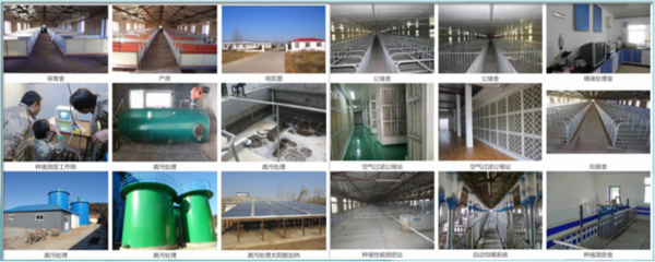 ABUIABAEGAAg3fqkrAYosIXn8wYwrQY4xQI