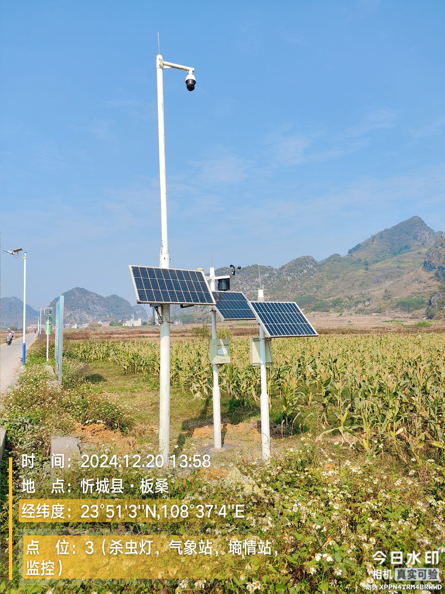 广西忻城-智慧农业-高标准农田-田间监测点-四情监测站-苗情监测站