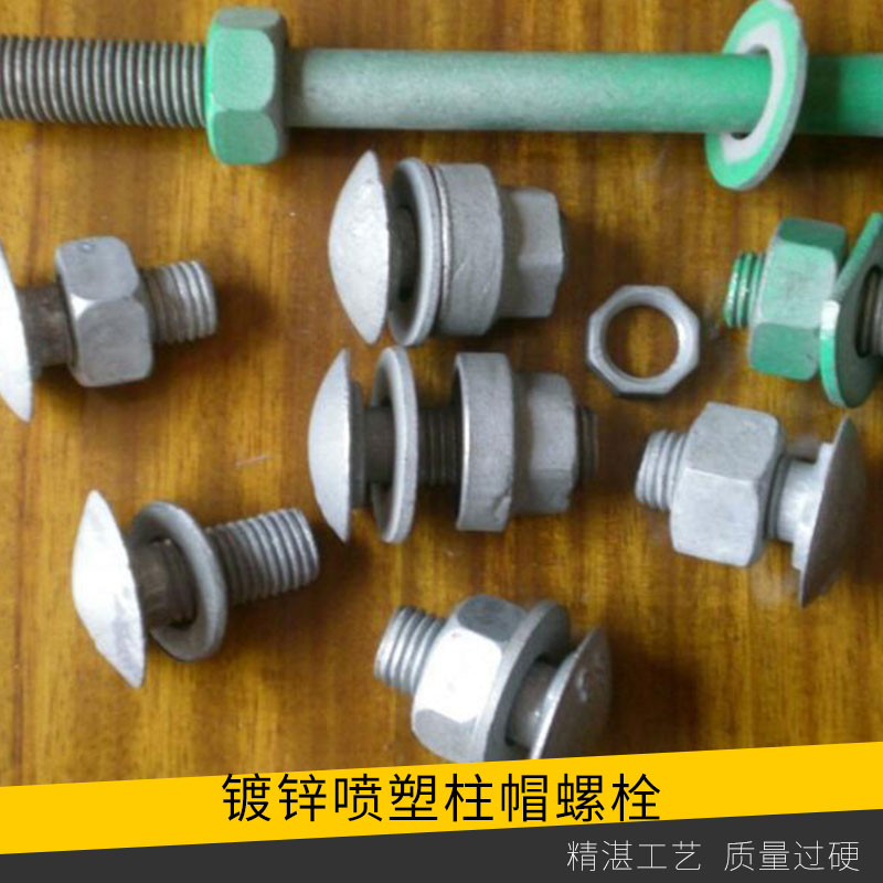 鍍鋅/噴塑柱帽螺栓高速公路護(hù)欄熱鍍鋅螺栓噴塑螺帽柱帽廠家直銷