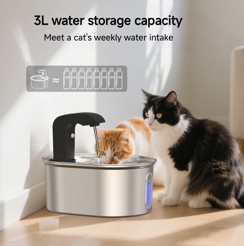 ada2ea3a54a3ae63b7632f64f95537a6