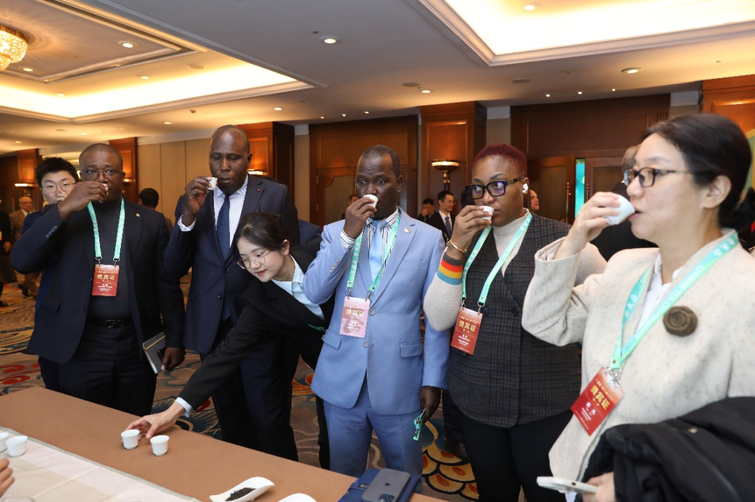 【 Group News 】 Hubei Tea Industry Group Debuts at the "China Tea · Chutian Good" Ambassador Tasting Promotion Conference in China