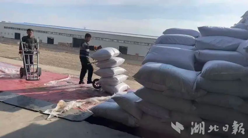 【 Media Focus 】 New Year orders increase by 10%, average price increases by 9%. Hubei Tea Industry Group's foreign trade has a good start