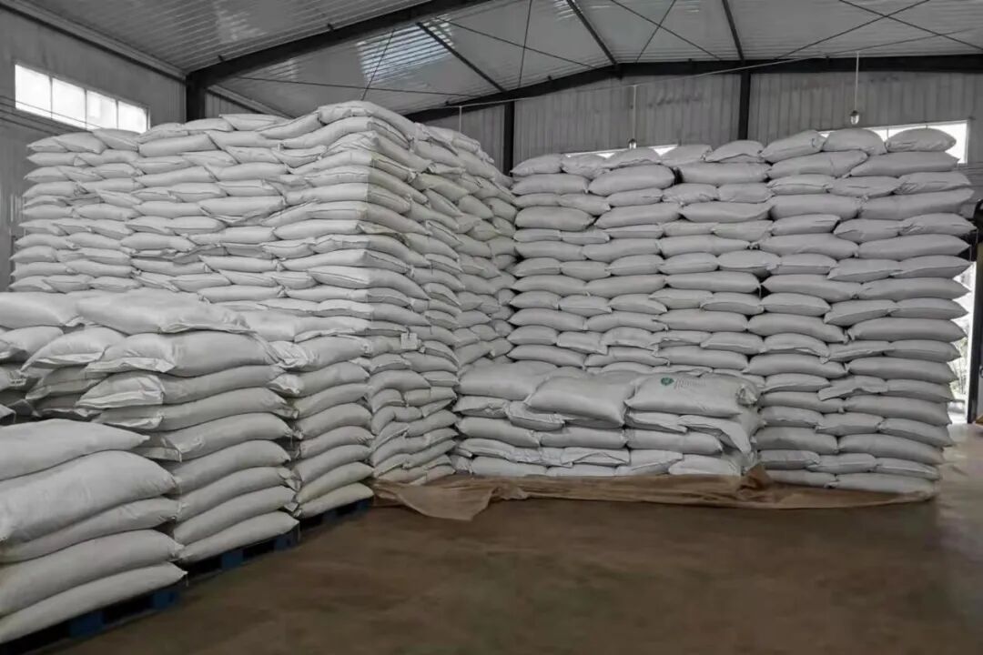 Enshi Green Tea Fragrance Central Asia, Good Start to Foreign Trade Exports