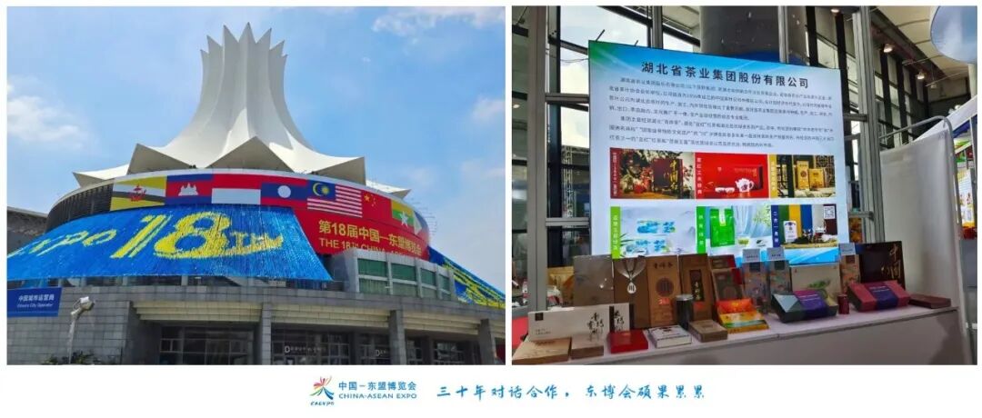 【 Group News 】Hubei Tea Industry Group Debuts at China ASEAN Expo