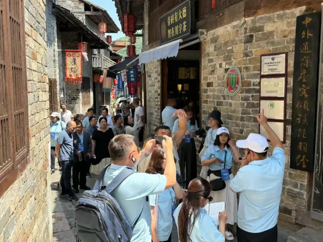 【 Member Company News 】 Continuing the story of "Sheep Come Tea Go": "Chuan" character green brick tea has appeared on more than 40 media platforms in Mongolia!