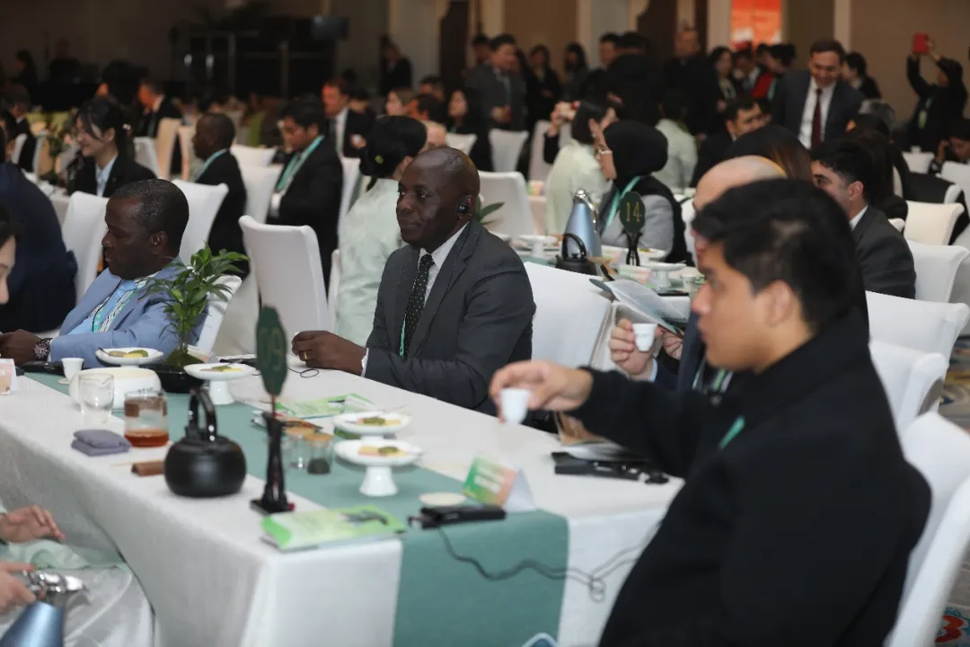 【 Group News 】 Hubei Tea Industry Group Debuts at the "China Tea · Chutian Good" Ambassador Tasting Promotion Conference in China
