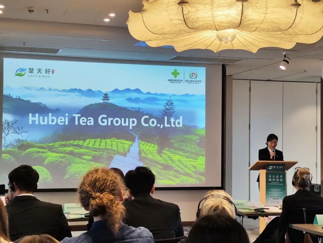 【 Group News 】 Hubei Tea Industry Group Debuts at the 2025 Chutian Good Tea Overseas Tour in Cologne, Germany and Makes a Special Promotion