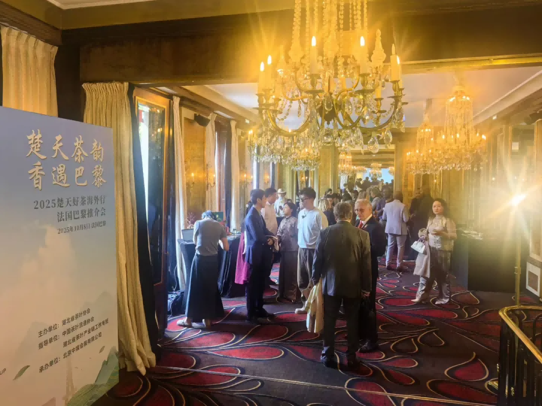 【 Group News 】 Hubei Tea Industry Group Debuts at the 2025 Chutian Good Tea Overseas Tour in Paris, France and Makes a Special Promotion