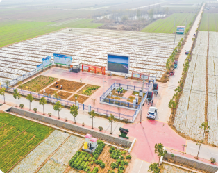 738ab123c70731a932a50422d89d6bce09184918