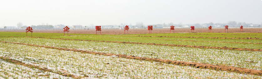 1f76e0ca234838ef97c85c8e209b83cc854ad5c3