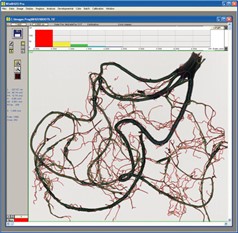 WinRHIZO Pro根系分析系统