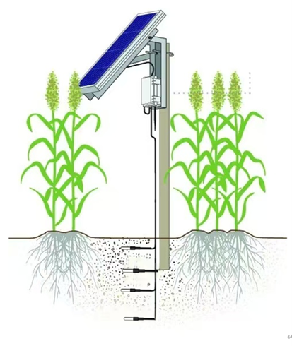TD10土壤温度监测系统