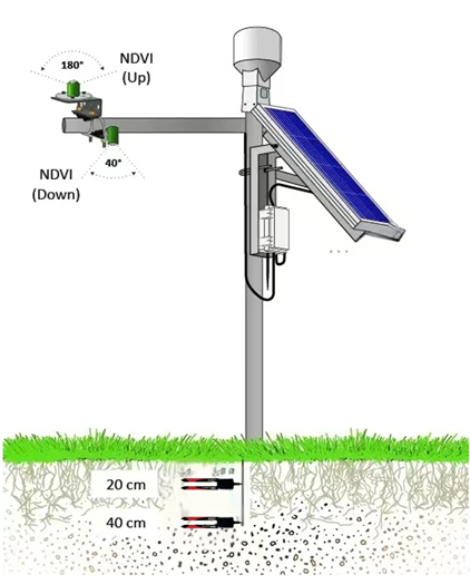 XG-NDVI归一化植被指数NDVI监测系统