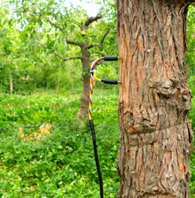 插针茎流(液流)监测系统