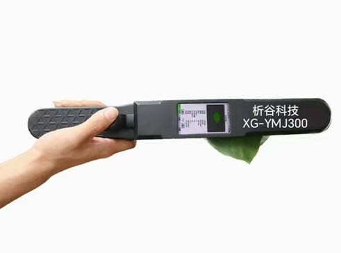 XG-YMJ300活体叶面积测量仪