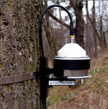 DRS26 树干周长变化测量传感器