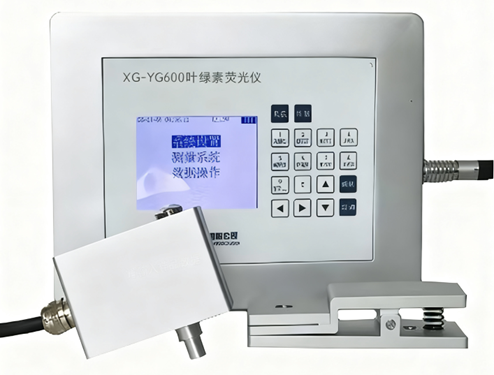 XG-YG600叶绿素荧光仪