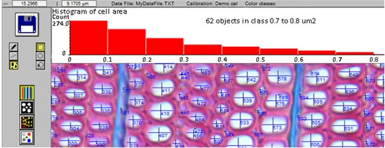 木细胞分析系统WinCELL