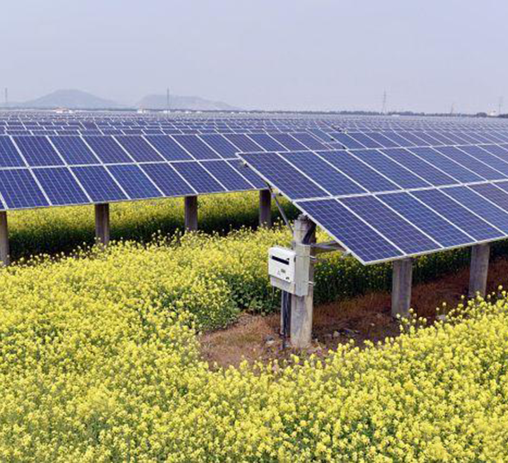 农光互补光伏电站结构图