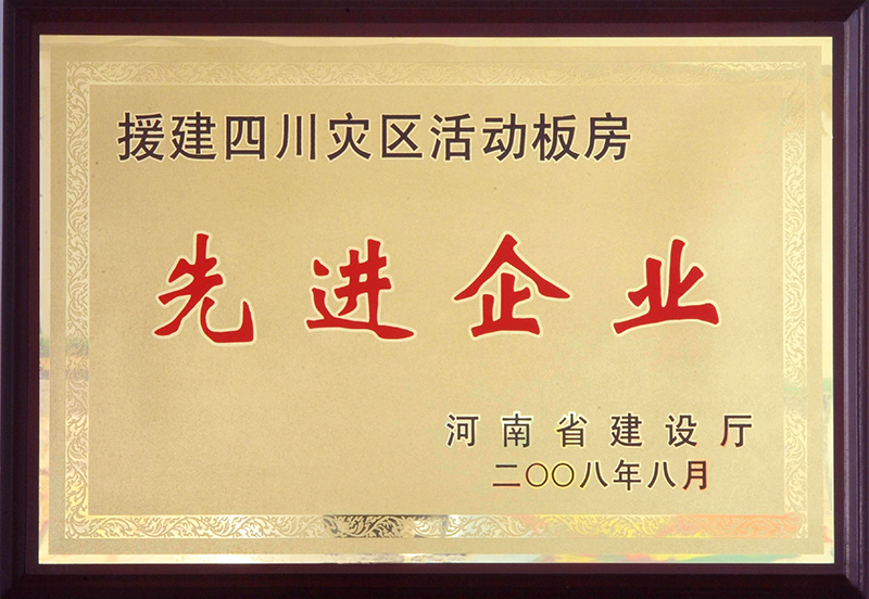 2008年援建四川先进企业