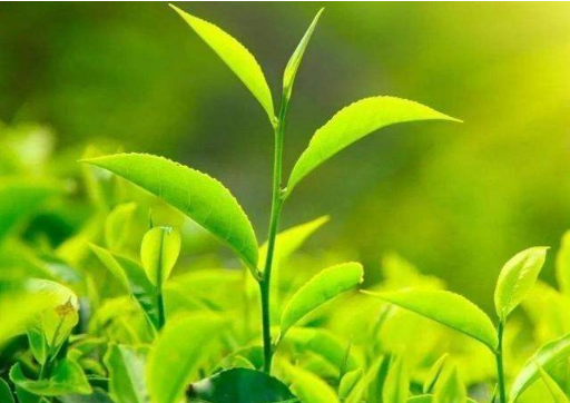 640
