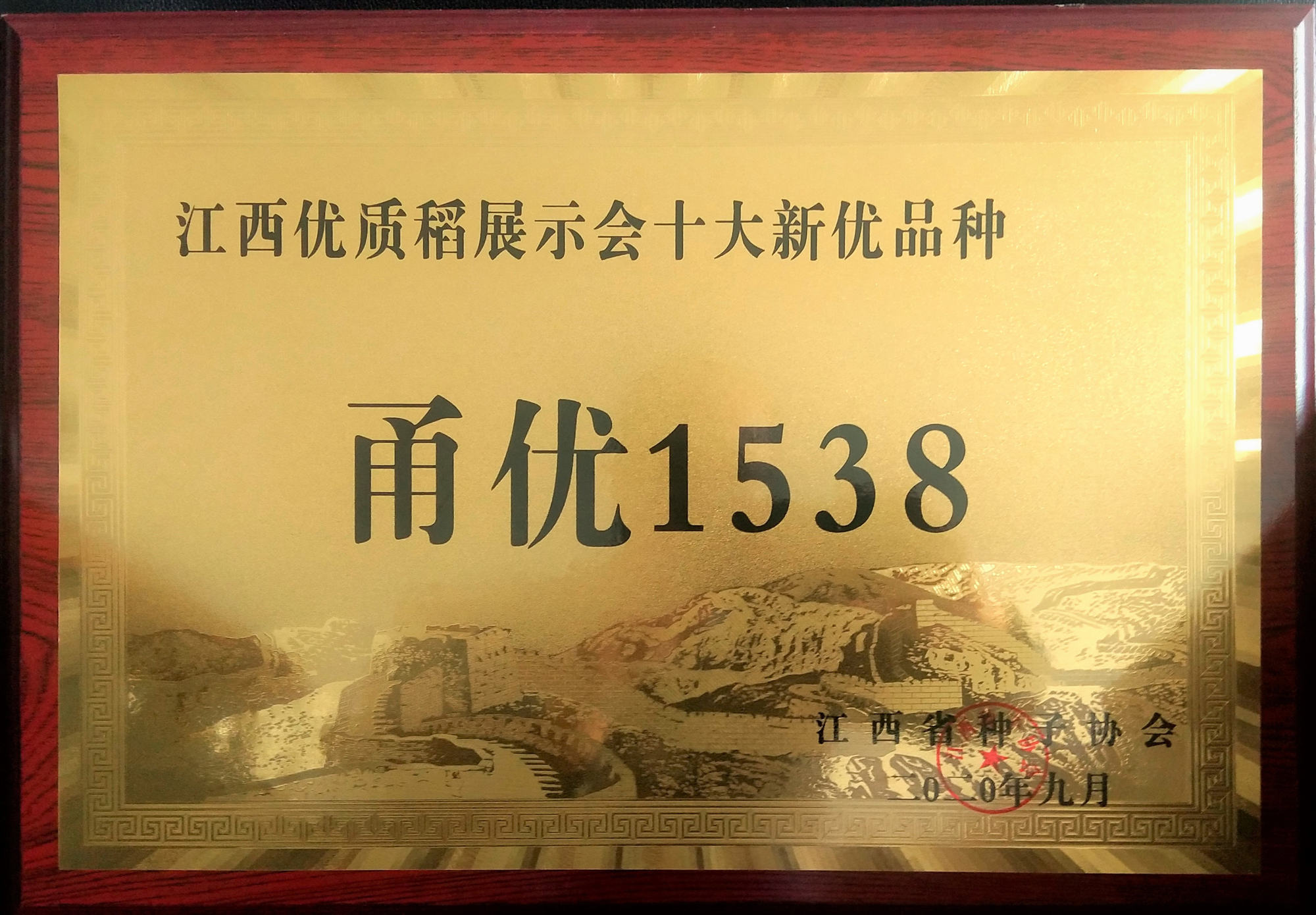 十大新优品种-3