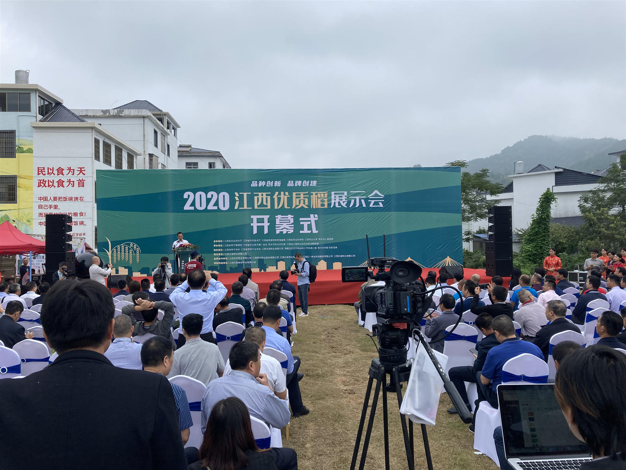 十大新优品种-1