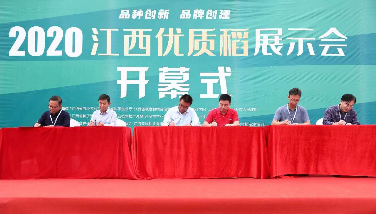 十大新优品种-4