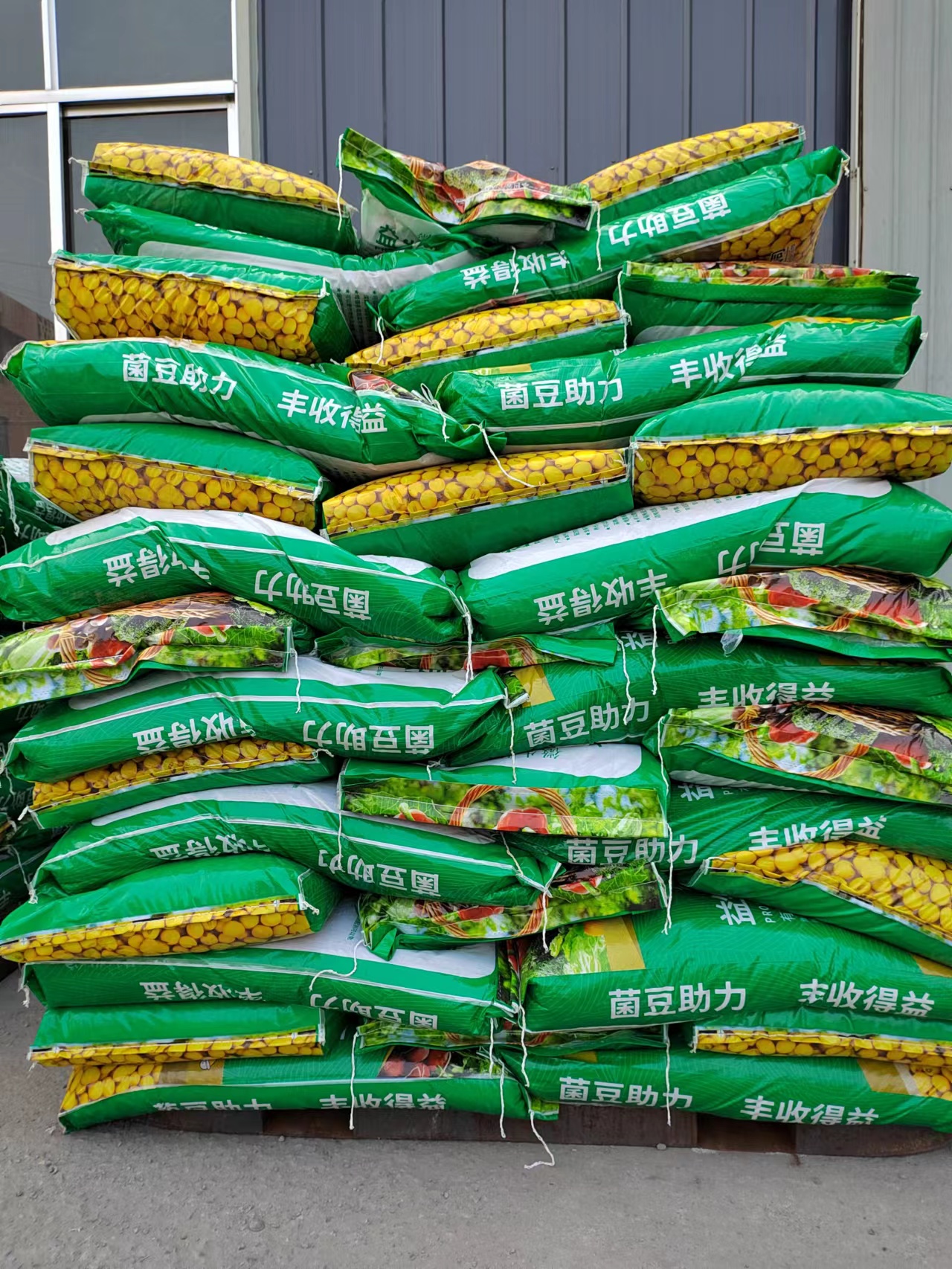 发酵大豆