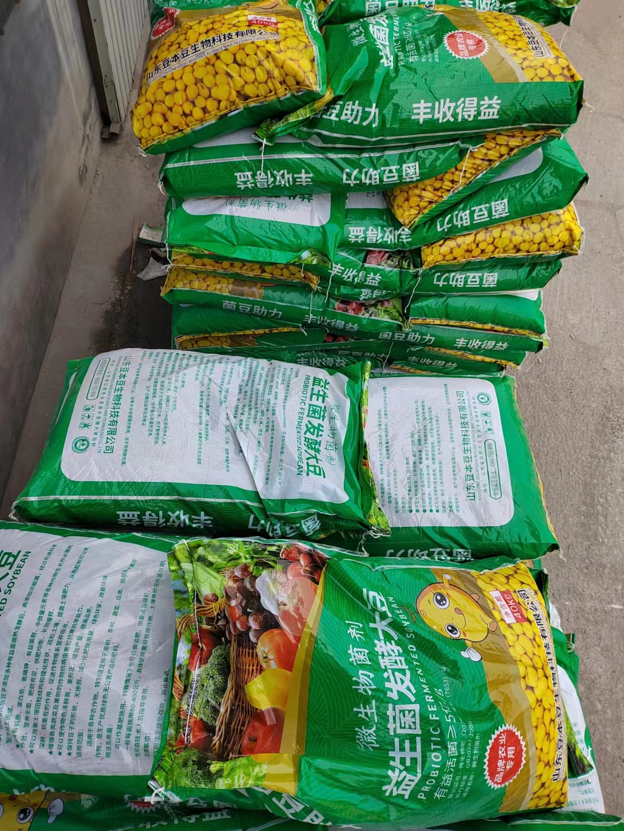 发酵大豆