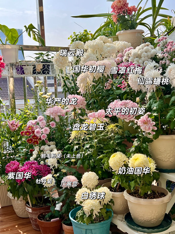 ef99d4080997f9bb8745189aacff9456