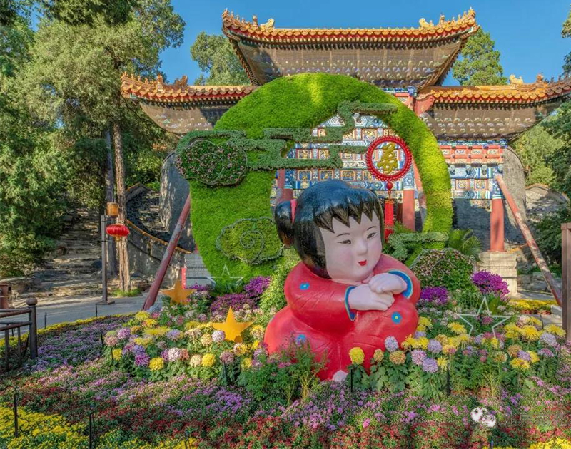 五色草造型设计1