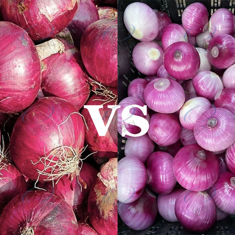 5c258a0c88d6173b48ac2f071d9834bd