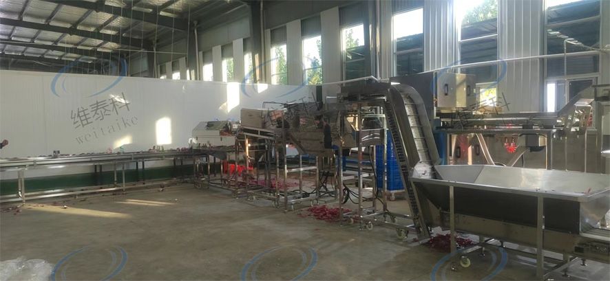 8ed5134bc377a350236a7682c3b32423