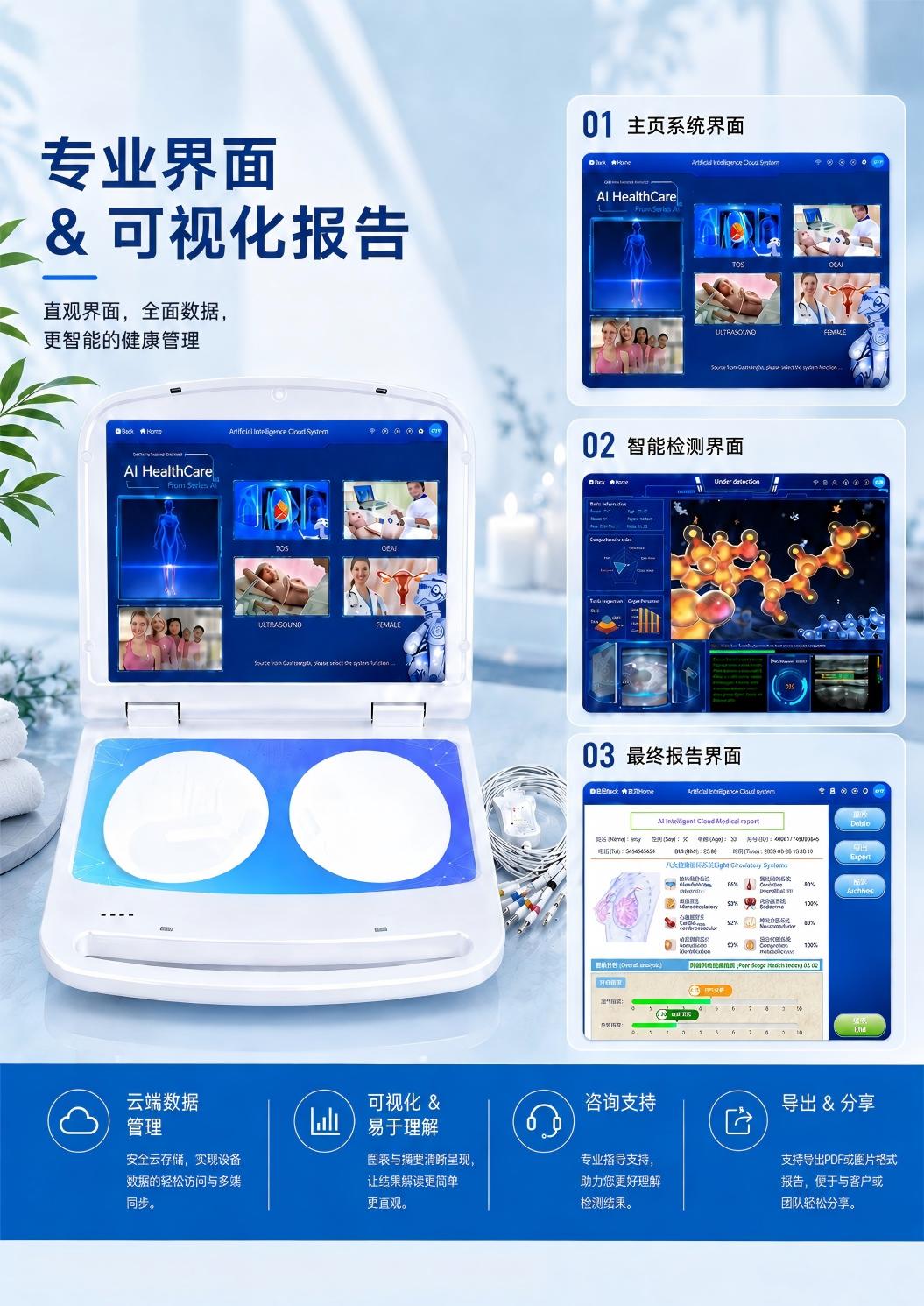 专业界面与可视化报告